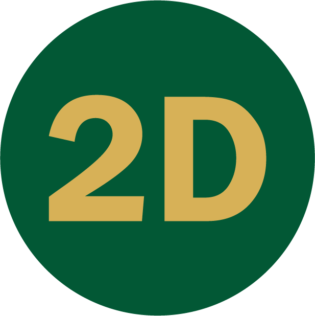 icona 2d